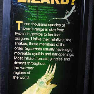 Poster in the Main Gallery