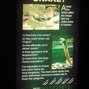 Poster in the Main Gallery