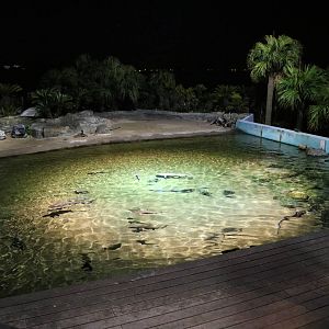 Shark lagoon, February 2016