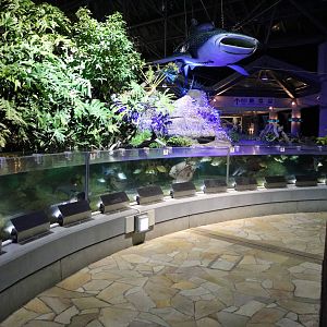 Freshwater river tanks, February 2016