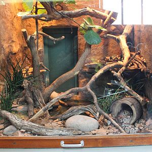 Enclosure Ball python