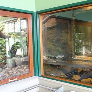 Enclosure McCord's snake-necked turtle