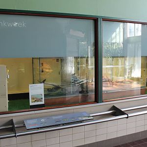 Reptile breeding room