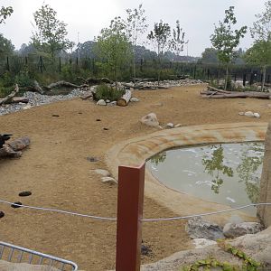 Islands - Banteng enclosure 031015