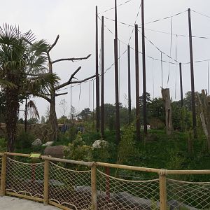 Islands - Orangutan enclosure 031015