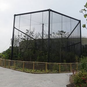 Islands - Hornbill enclosure 031015