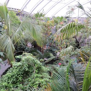 Islands - large indoor exhibit 031015