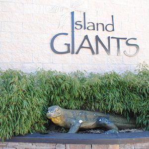 Island Giants Building Entrance