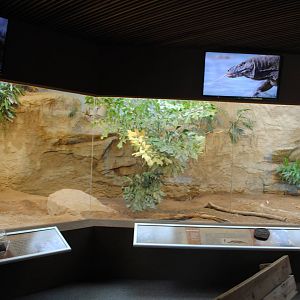 Komodo Dragons Indoor Exhibit (Island Giants)