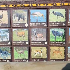 Savanna animal list