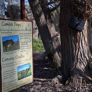 Artificial camera trap