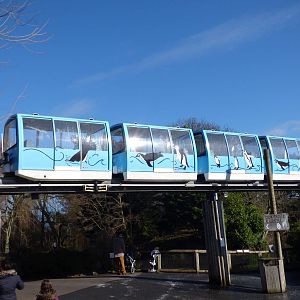 New Design for extirior of Monorail train