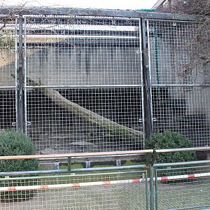 Seperation cage Lions