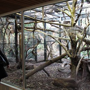 Enclosure at the Small Mammal House