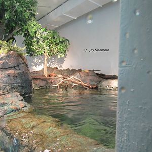 1/3 of River Otter Habitat