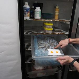 Thawing Refridgerator