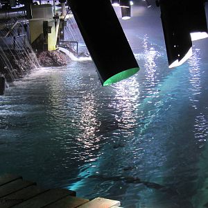 Above View of Nearshore Tunnel