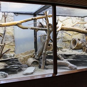 First Gundi enclosure