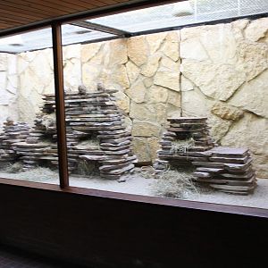 Second Gundi enclosure