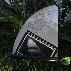 Very Encouraging Sign