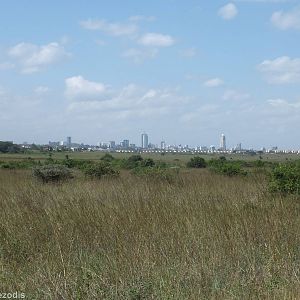 View of Nairobi - Nairobi National Park