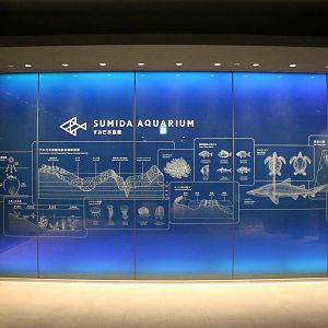 Entrance display, February 2016