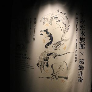 Hokusai and the Sumida aquarium, February 2016