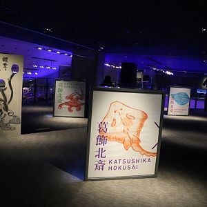 Hokusai display - Sumida Aquarium, February 2016
