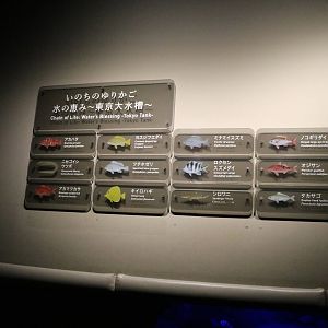 Signs for the Tokyo tank - Sumida Aquarium, February 2016