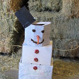 Elephant Winter Enrichment