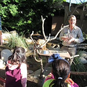 Pangolin Presentation
