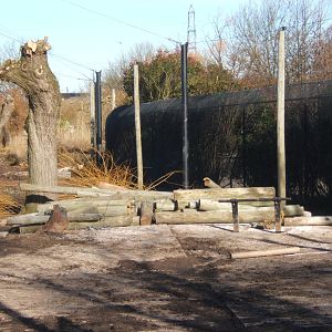 View of work an African Wet Lands Aviary