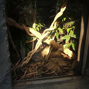 View of future Viper exhibit