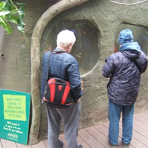 View of empty venomous snake exhibits in RORA