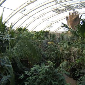 View across Monsoon Forest
