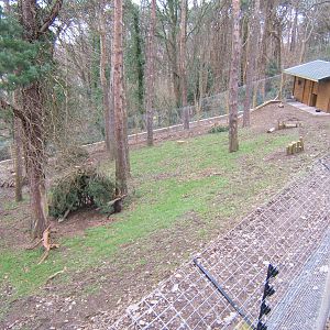 View of Swamp Wallaby exhibit