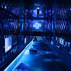 Jellyfish corridor - Sumida Aquarium, February 2016