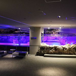 Penguin enclosure with sea turtle touchpools - Sumida Aquarium, February 20