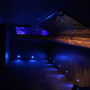 Fur seal underwater viewing - Sumida Aquarium, February 2016