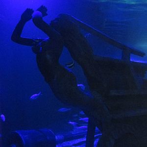 mermaid statue acuario inbursa