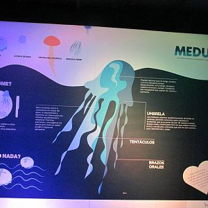 sign acuario inbursa