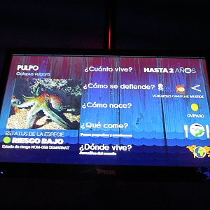 sign acuario inbursa