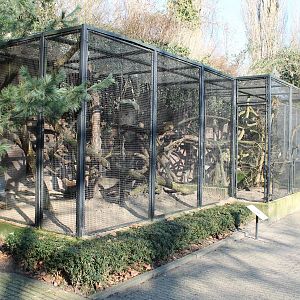 Outdoor enclosures Coati and Binturong
