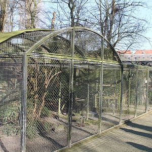 Owls and Bird of prey aviaries