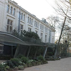 Griffon vulture aviary