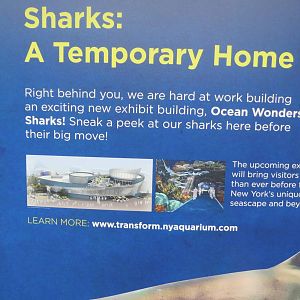 Plans for new exhibit 021215