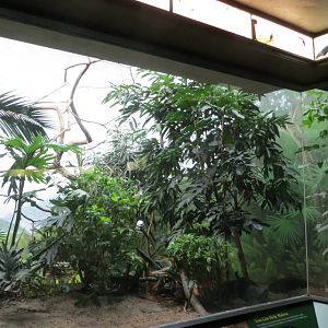 World of Birds exhibit 031215