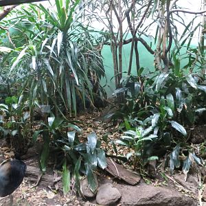 World of Birds 031215