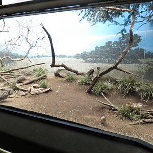 World of Birds 031215