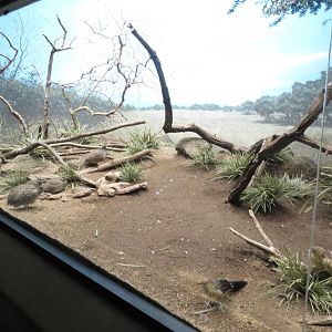 World of Birds 031215